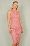Yumi Pink Lace Halter Neck Dress